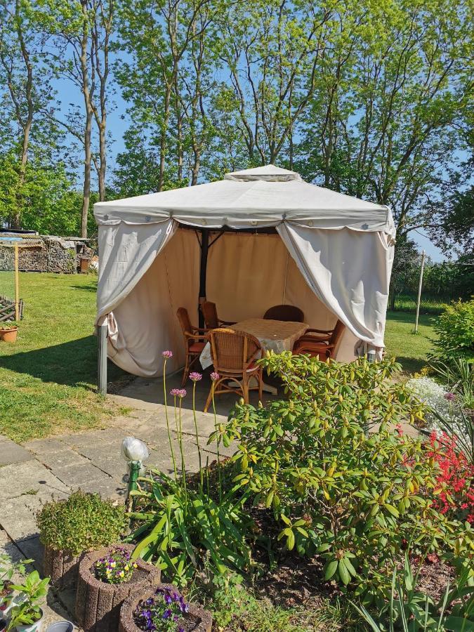 Ferienwohnung Am Stadtrand Garz Ruegen Garz (Rugen) Exterior foto